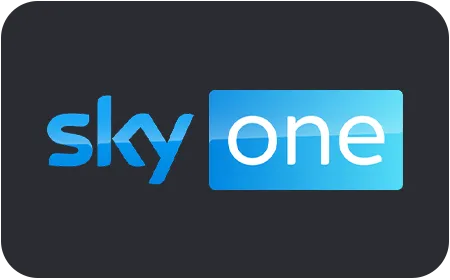 logo skyone